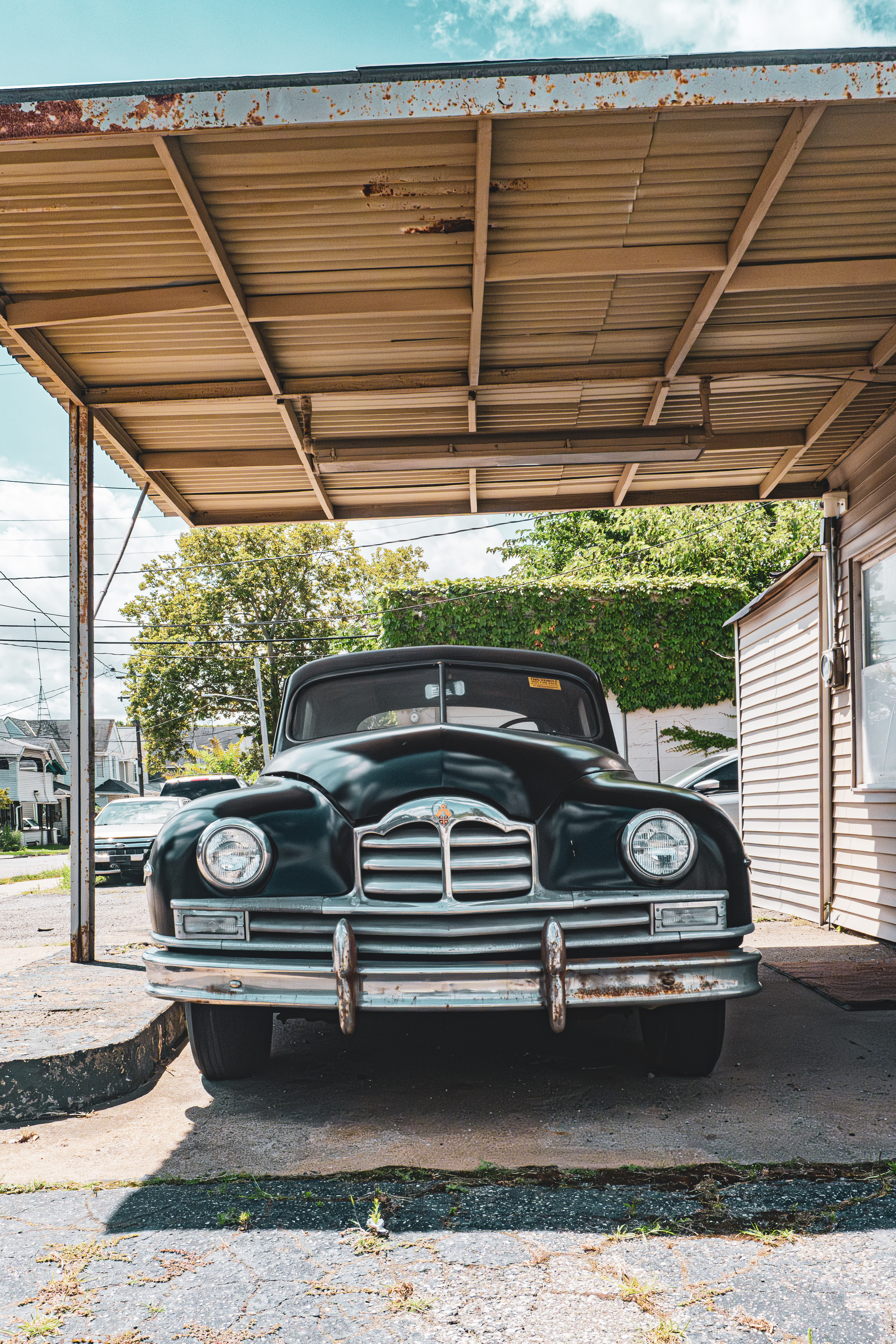 DSC00544-Enhanced-NR