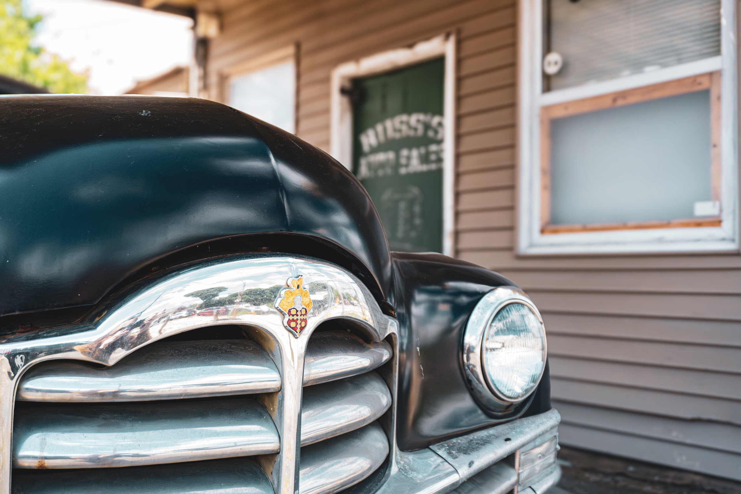 DSC00548-Enhanced-NR